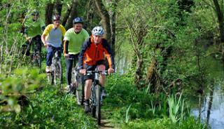 Balade à vélo dans les Landes de Lanvaux