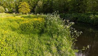 Une agréable promenade dans les sentiers de l’Aure