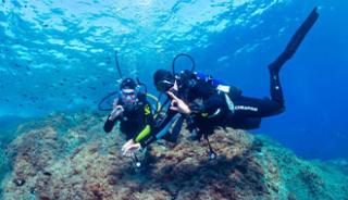 Glisser sur la mer ou plonger dans ses profondeurs