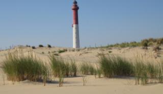 Le phare de la Coubre 