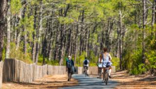 Une promenade en VTT