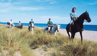 Profiter d’une randonnée à cheval