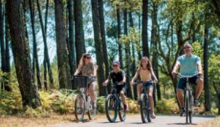 Du vélo dans la forêt domaniale de la Coubre