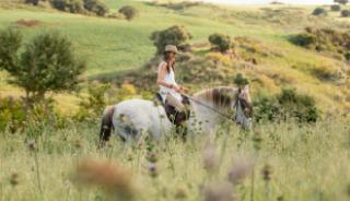 Découvrir la région à cheval