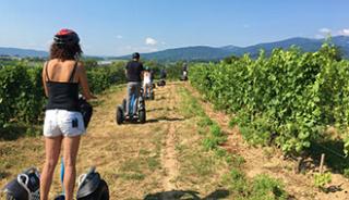 Du gyropode dans les vignes de Condrieu