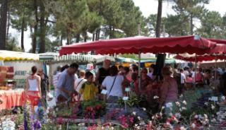 Marché de La Palmyre