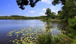 Le lac d’Aureilhan