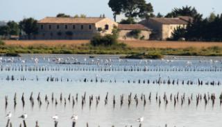 Une randonnée à Villeneuve-les-Maguelones