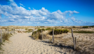 La plage du Vivier