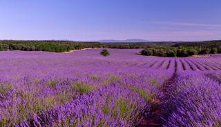 Apprécier le Sud dans toute sa splendeur