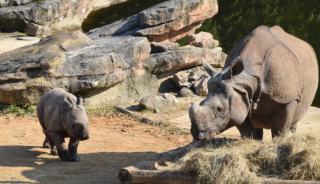 ZooParc de Beauval