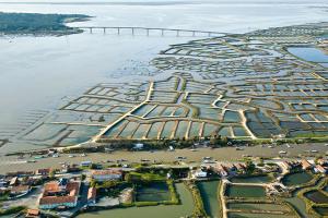 Le bassin de Marennes-Oléron