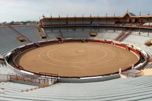 Découvrir les arènes