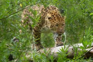 Le zoo des Sables d’Olonne