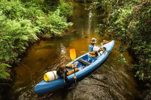 Canoë sur le courant de Contis