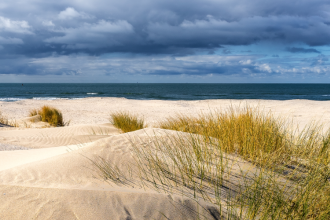 Les plus belles plages de Biscarrosse