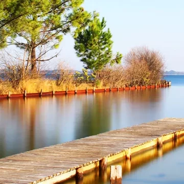 Découvrir les Landes
