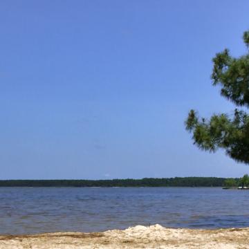 Le lac de Biscarrosse et de Parentis