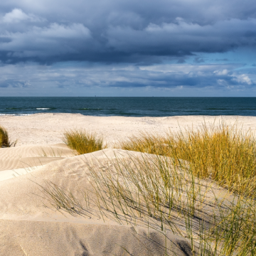 Les plus belles plages de Biscarrosse