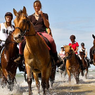 Vacances à cheval 