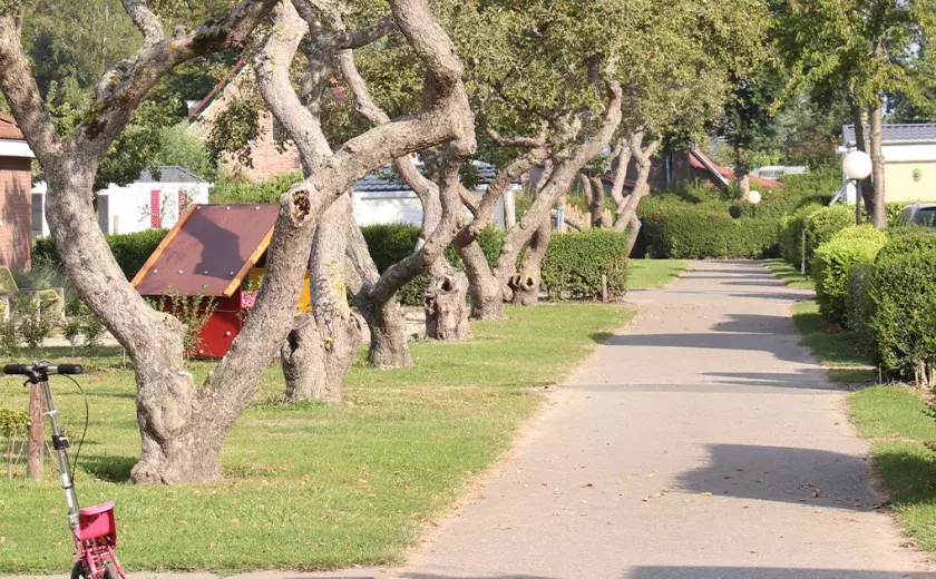 Hébergements au camping In de Bongerd aux Pays-Bas